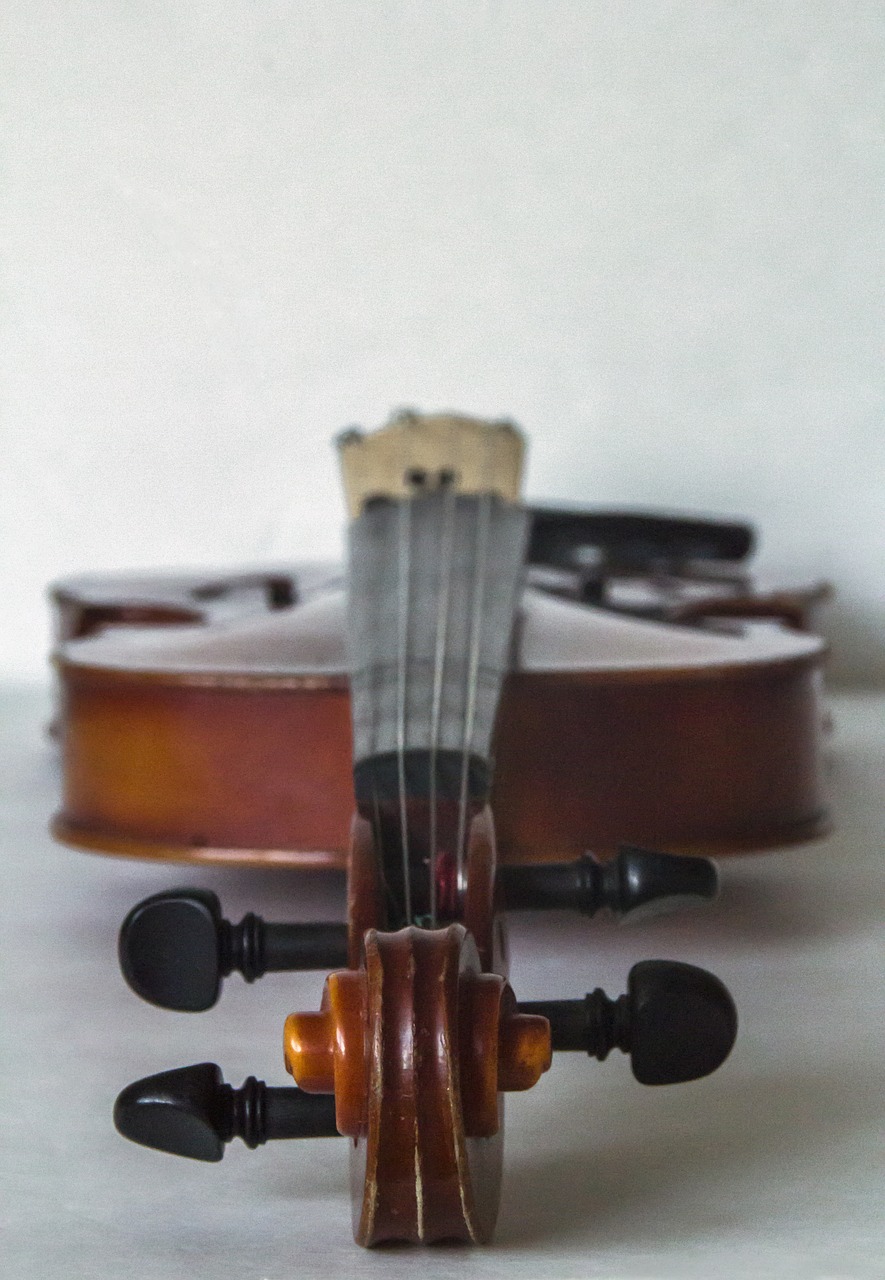 violin music classical free photo