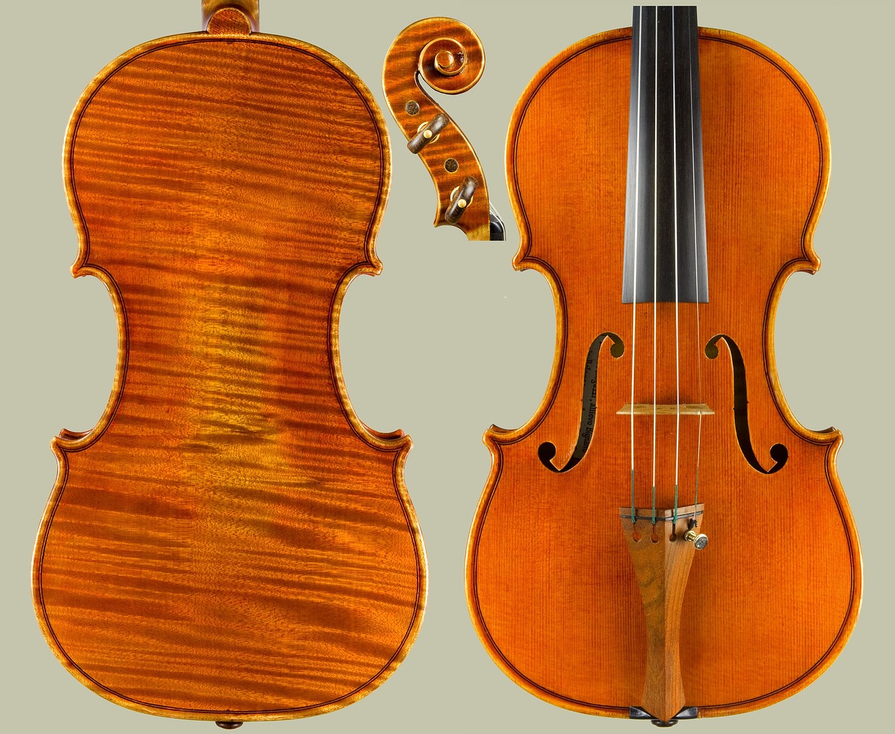 violin italian instrument free photo