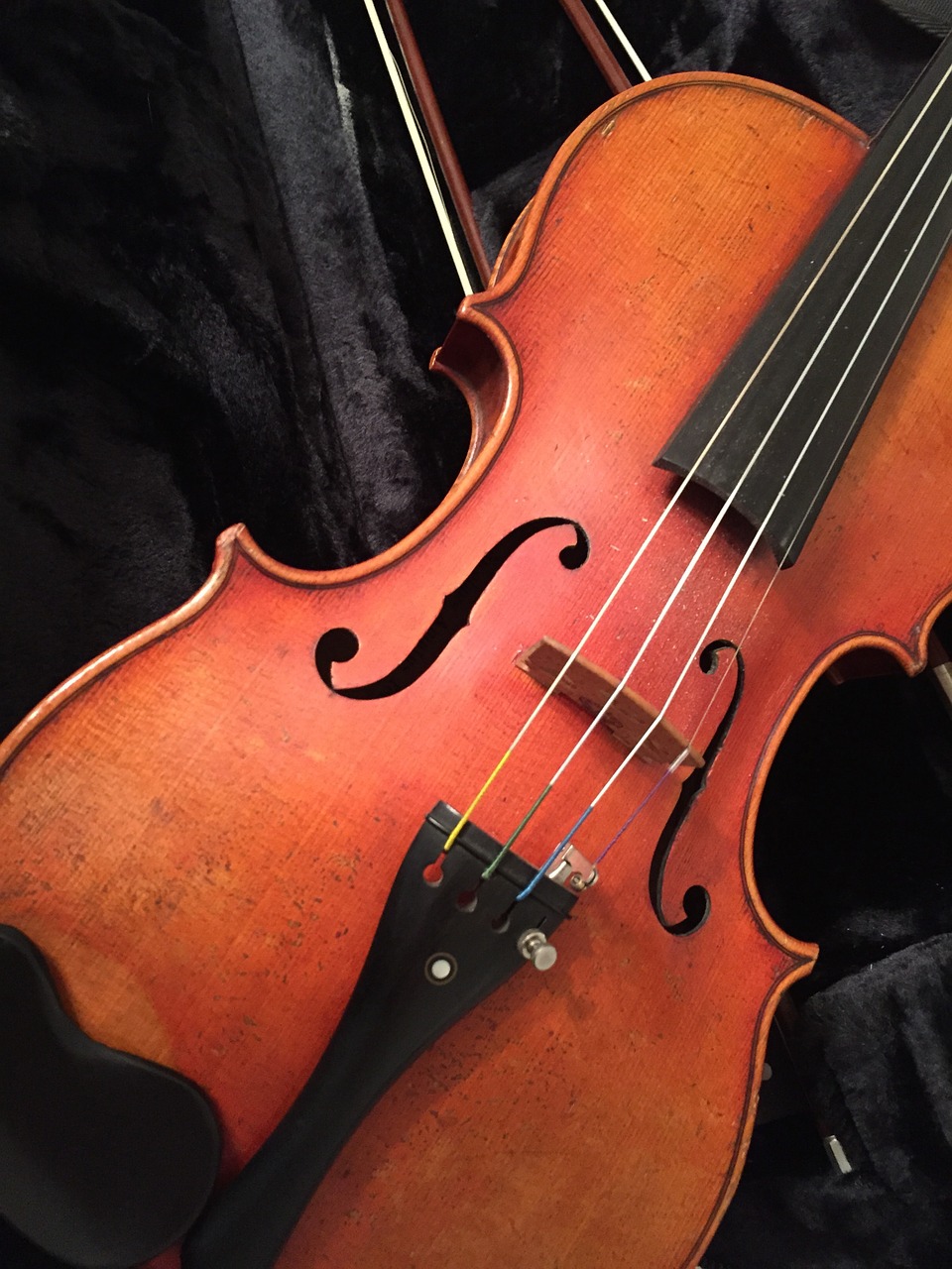 violin instrument music free photo