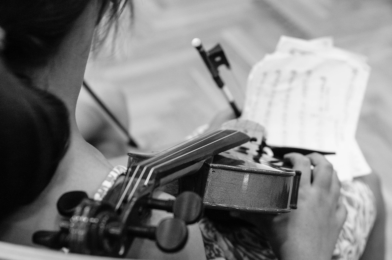 violin music notenblatt free photo