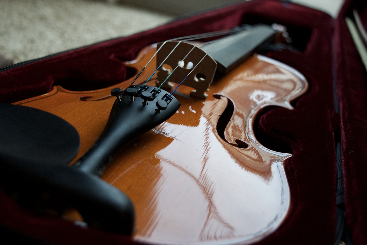 violin bridge violin instrument free photo