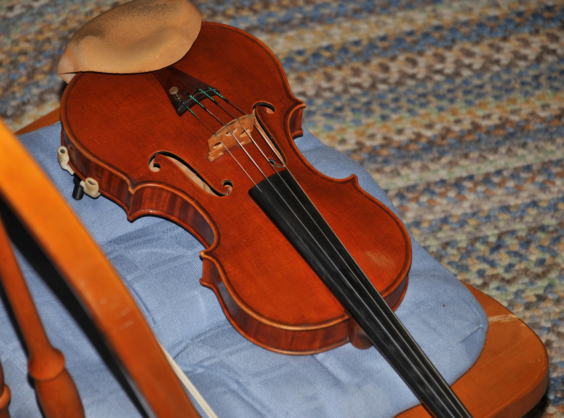 violin instrument musician free photo