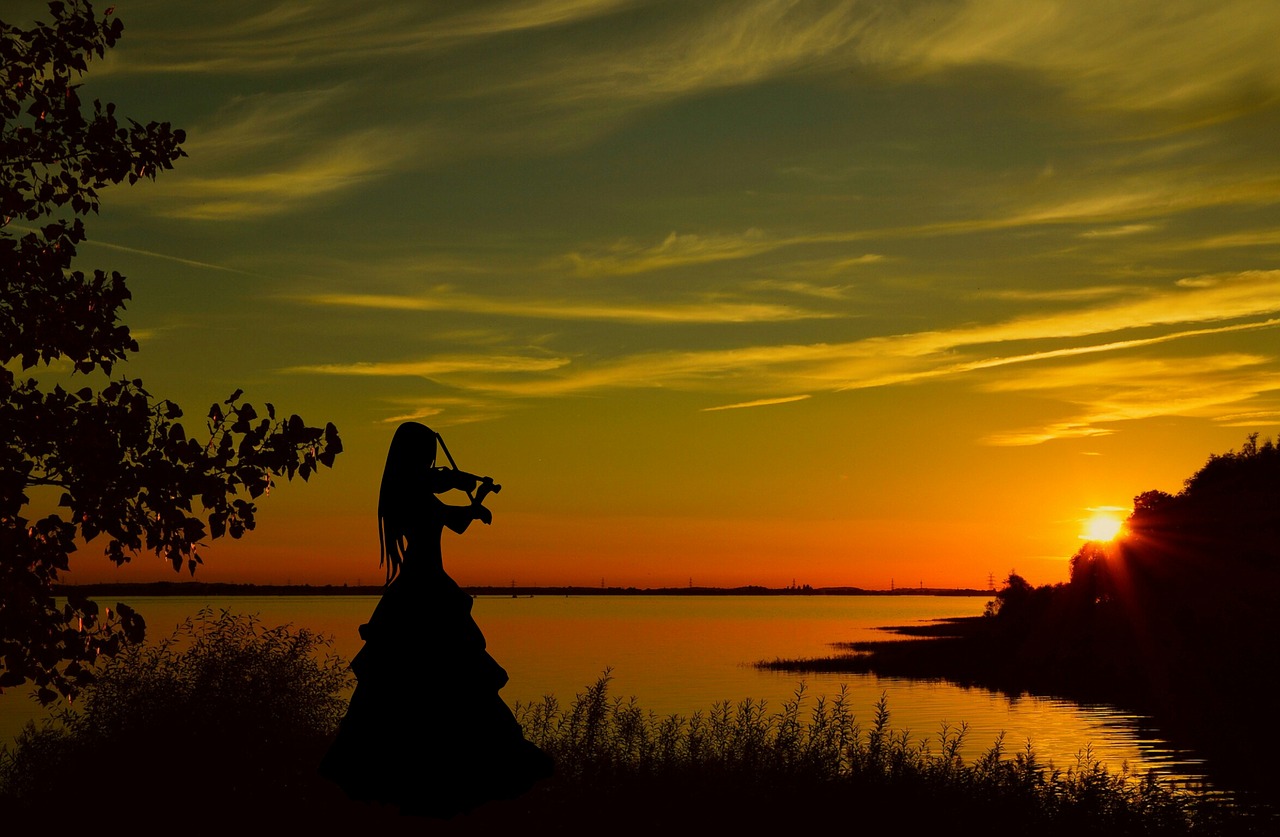 violinist  sunset  violin free photo