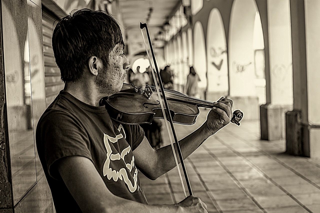 violinist  man  playing free photo