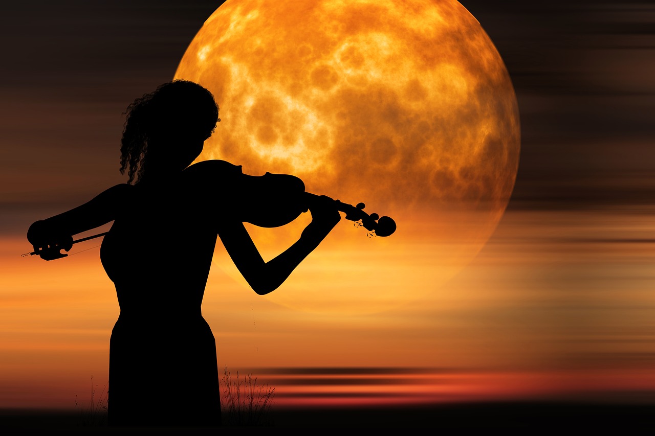 violinist violinist of the moon  fog  music free photo