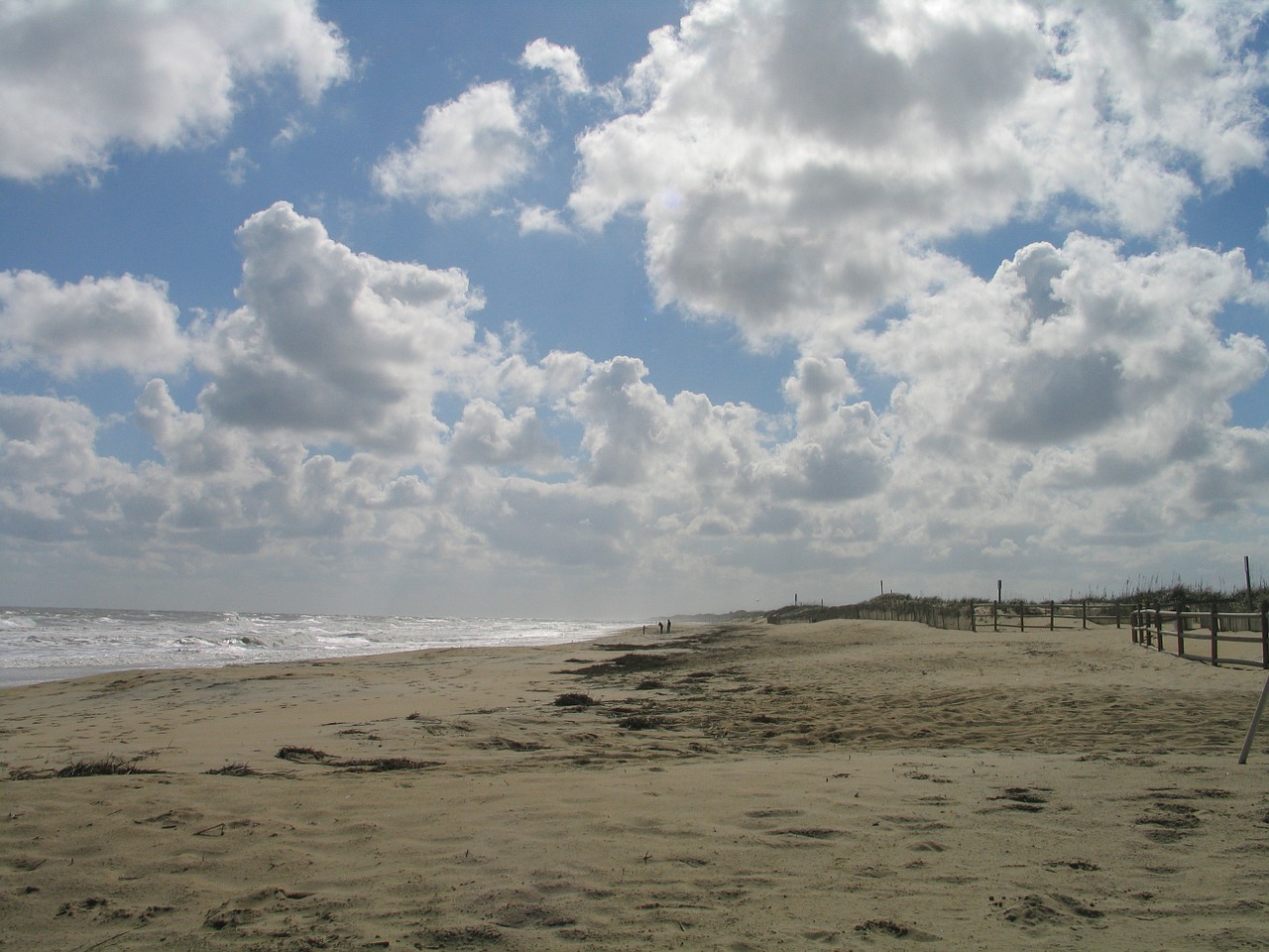 virginia beach oceanfront beach free photo