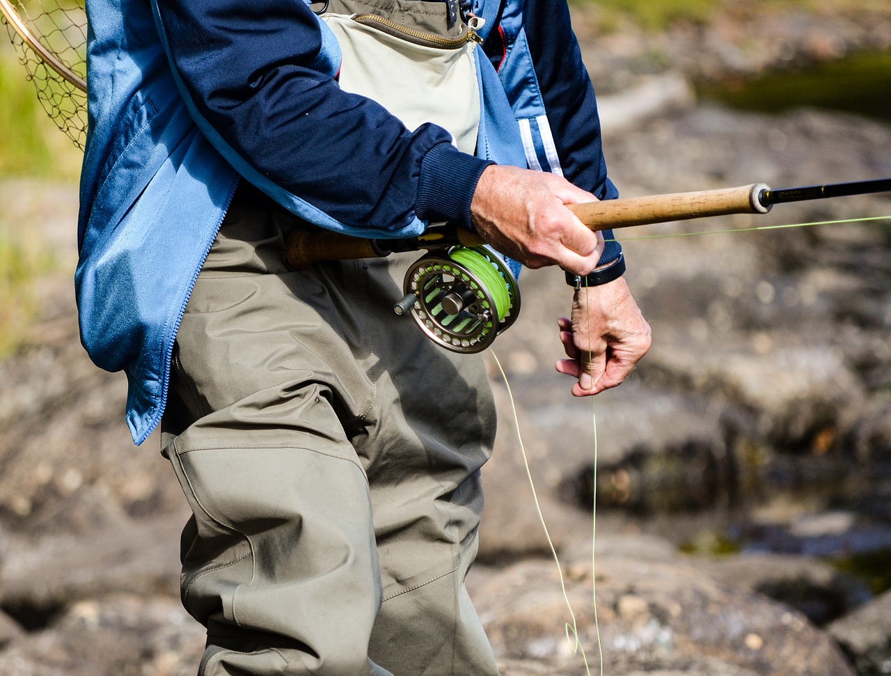 vision coil fly reel free photo