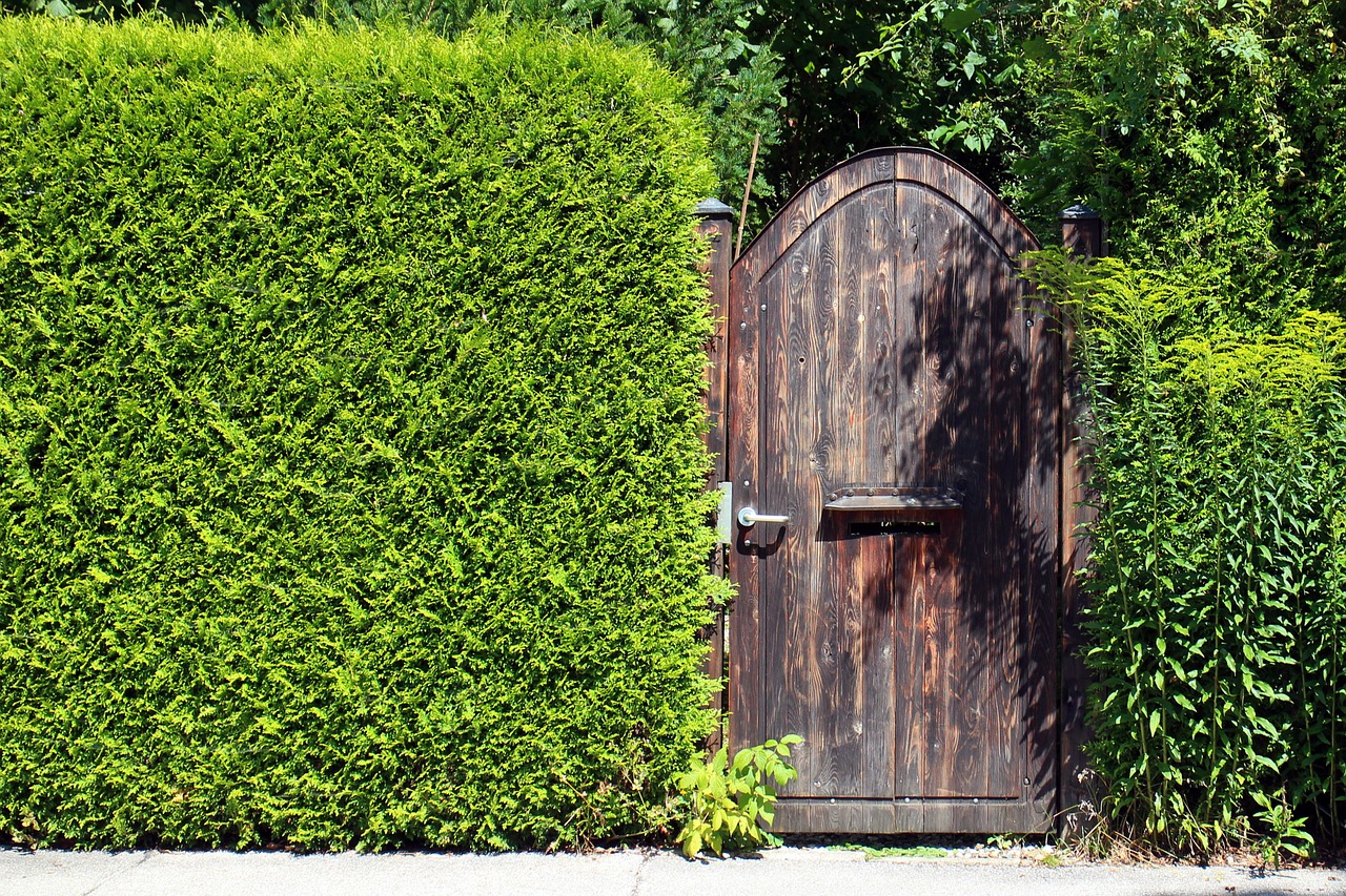 vision protection hedge privacy hedge free photo