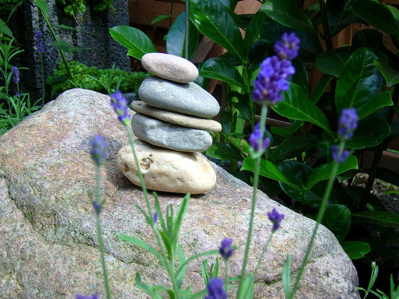 visit stones foundling rocky and lavender free photo