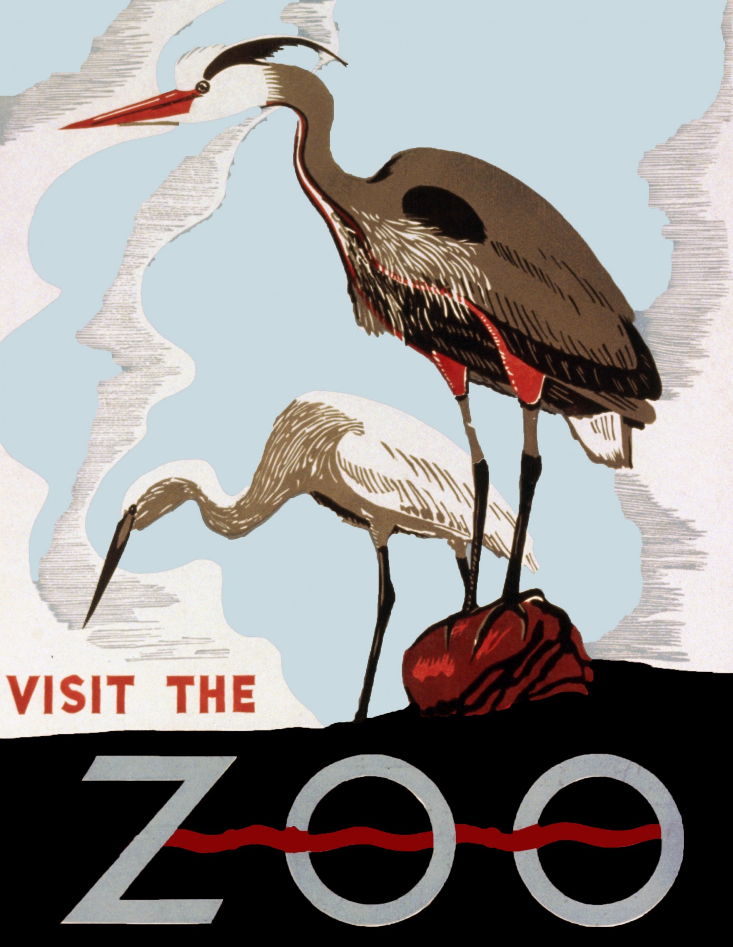 zoo heron herons free photo