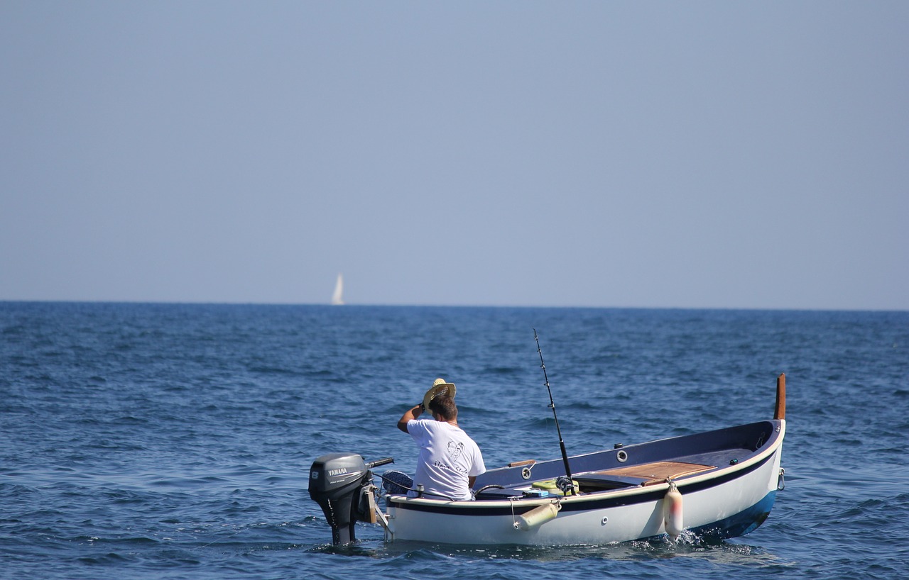 visser boat sea free photo