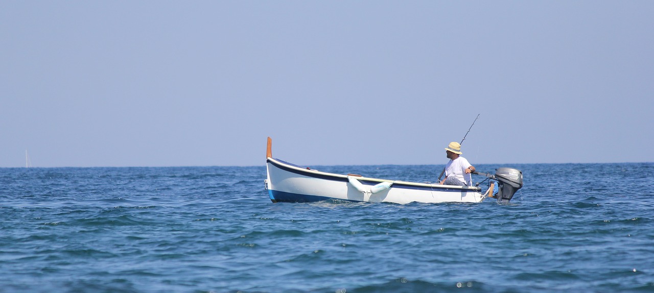 visser boat sea free photo