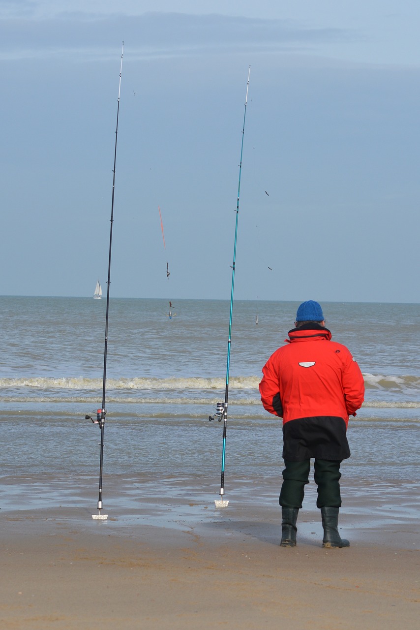 visser sea fishing lines free photo