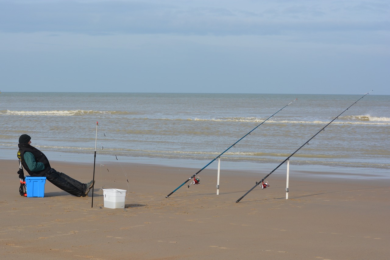 visser sea fishing lines free photo