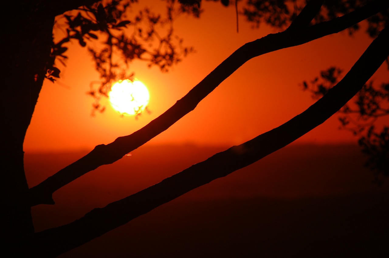 vista landscape rio grande do sul free photo