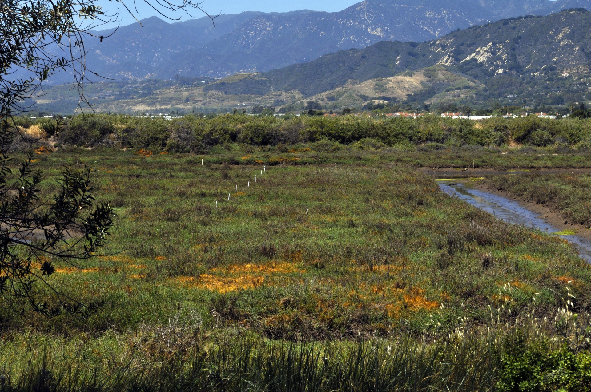 california carpinteria vista free photo