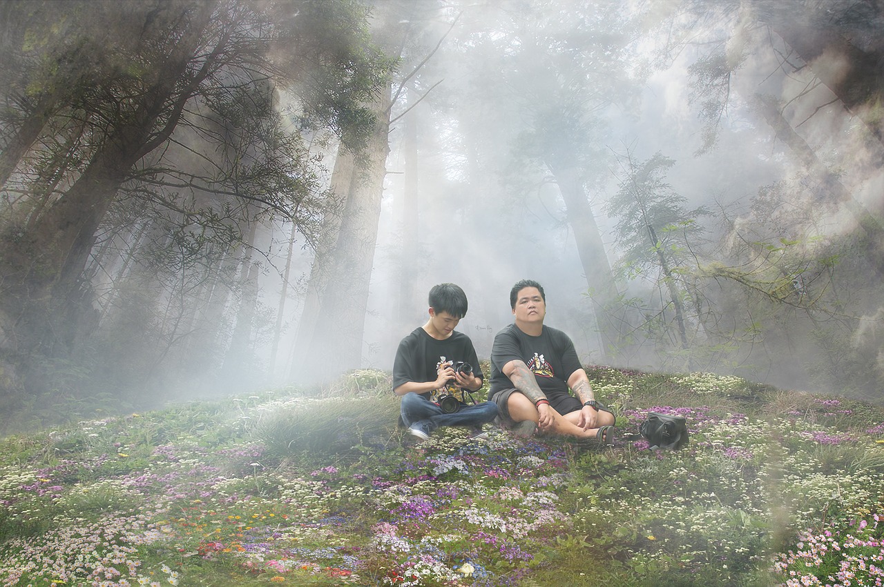 visual brothers manipulation free photo