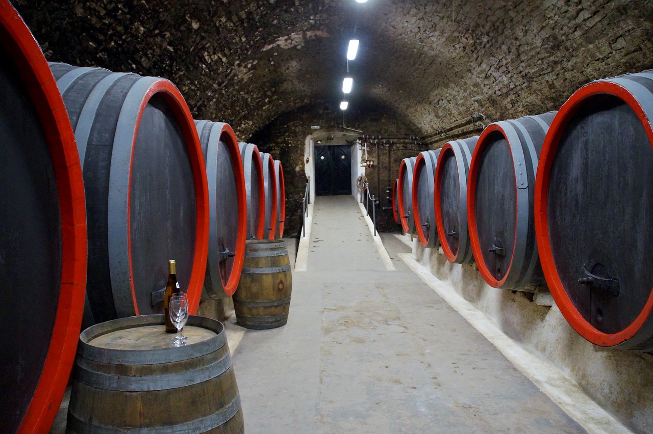viticulture  wine  barrels free photo