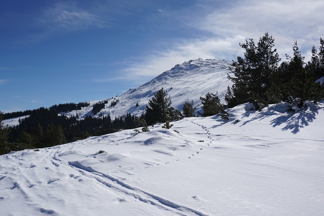 vitosha sofia bulgaria free photo