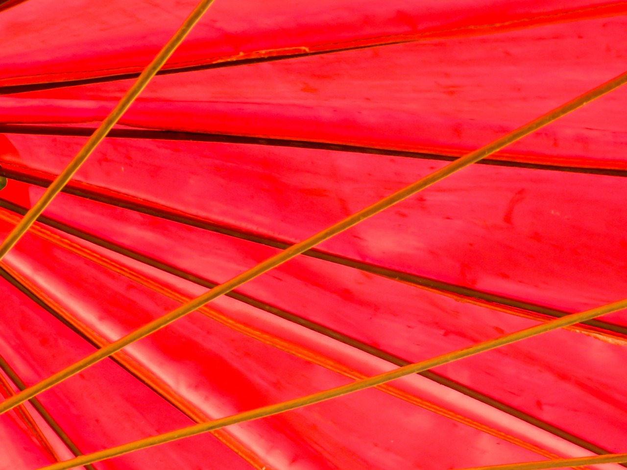 vivid red umbrella free photo