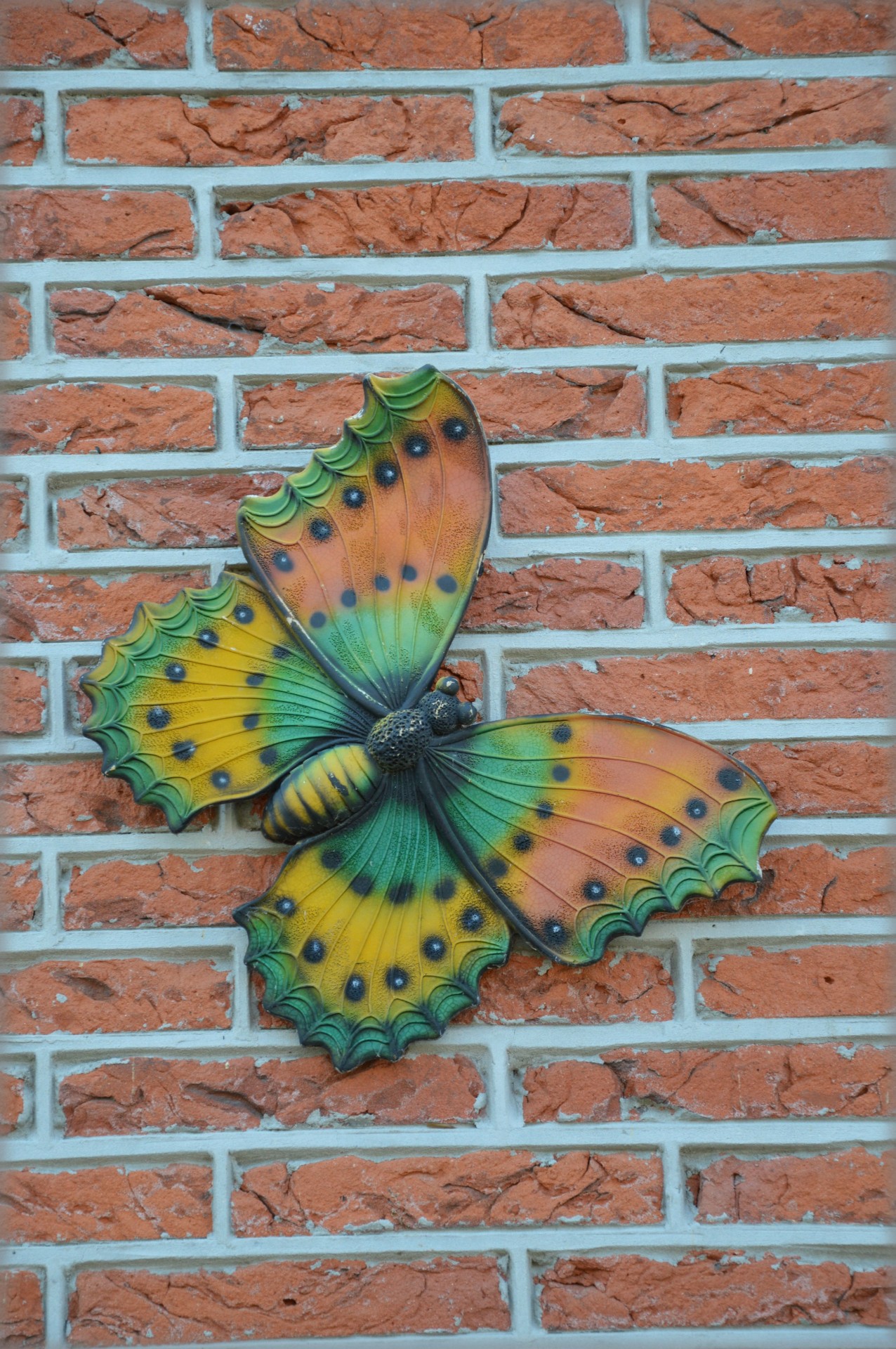 butterfly wall decoration animal free photo