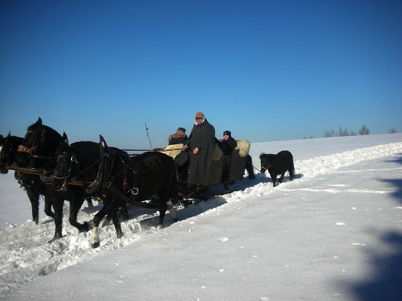 vogtland landscape winter free photo