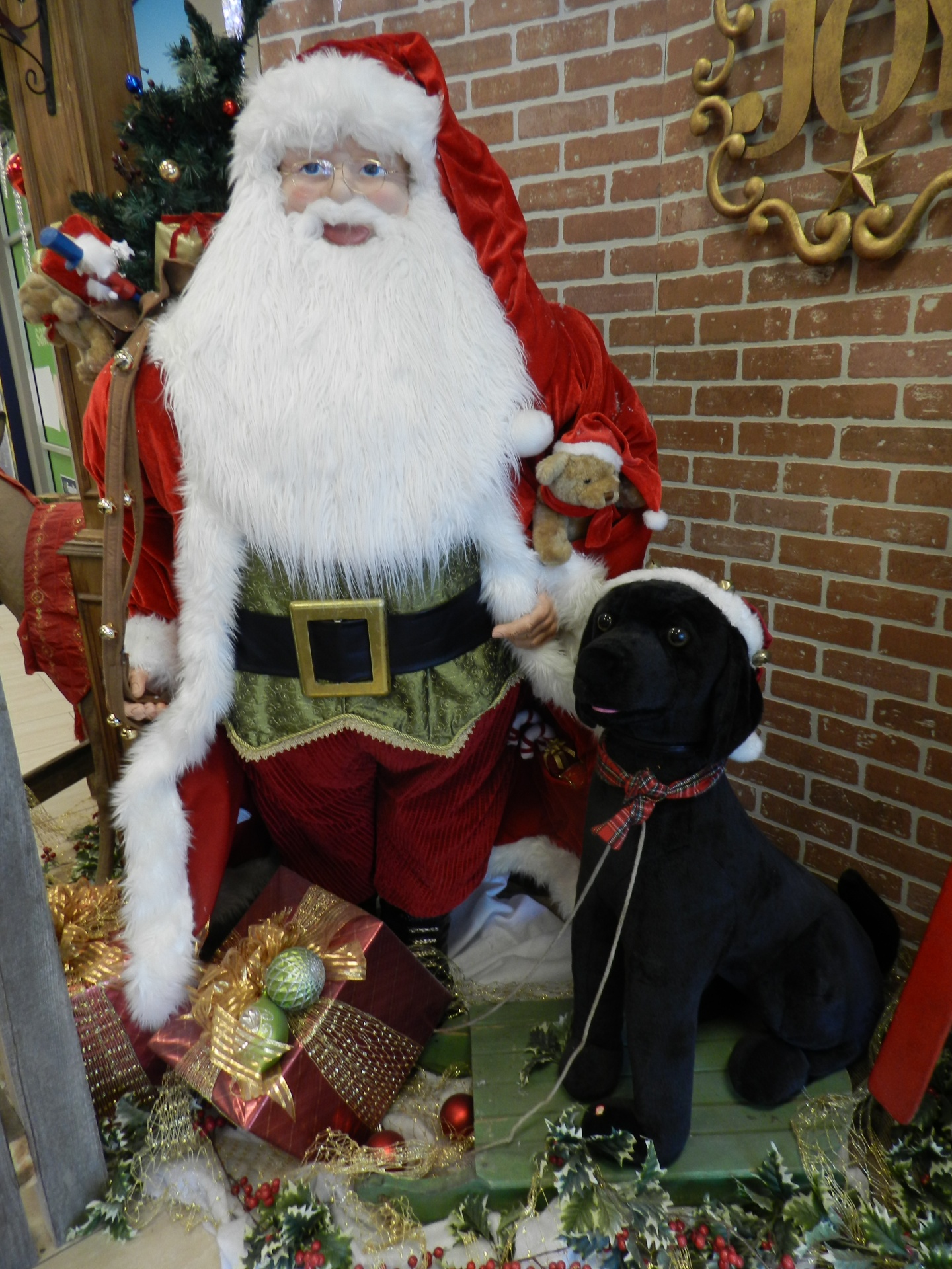christmas santa black dog free photo