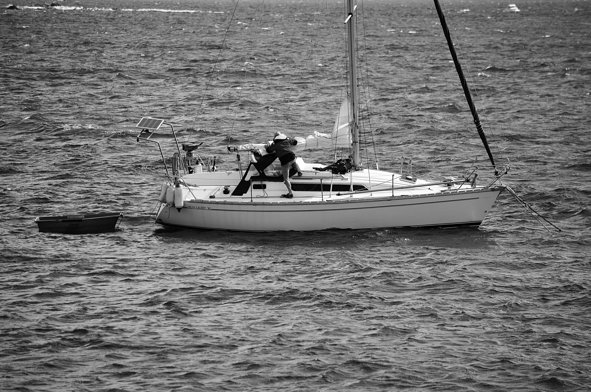 boat sailboat sailing free photo