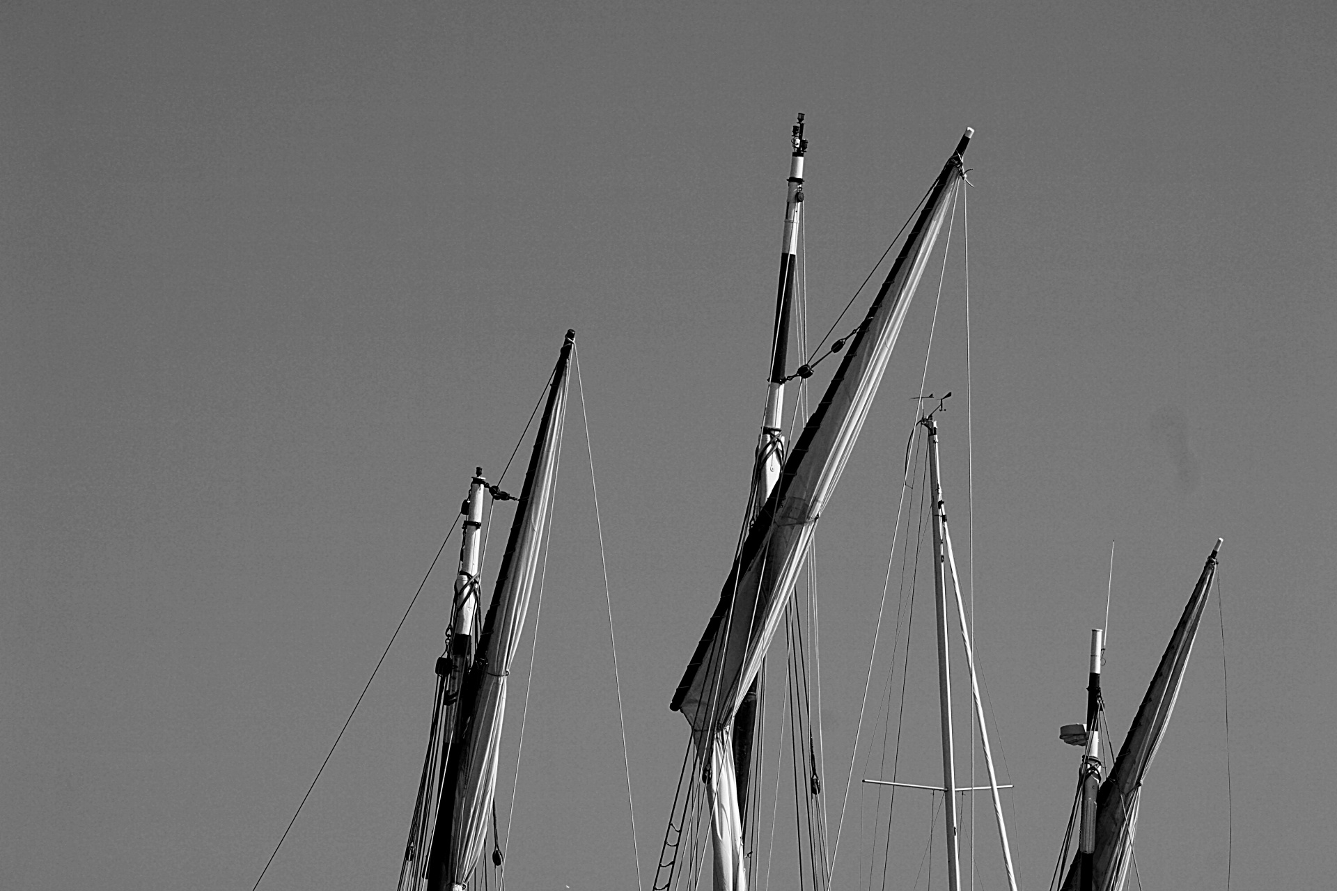sails navy black white free photo
