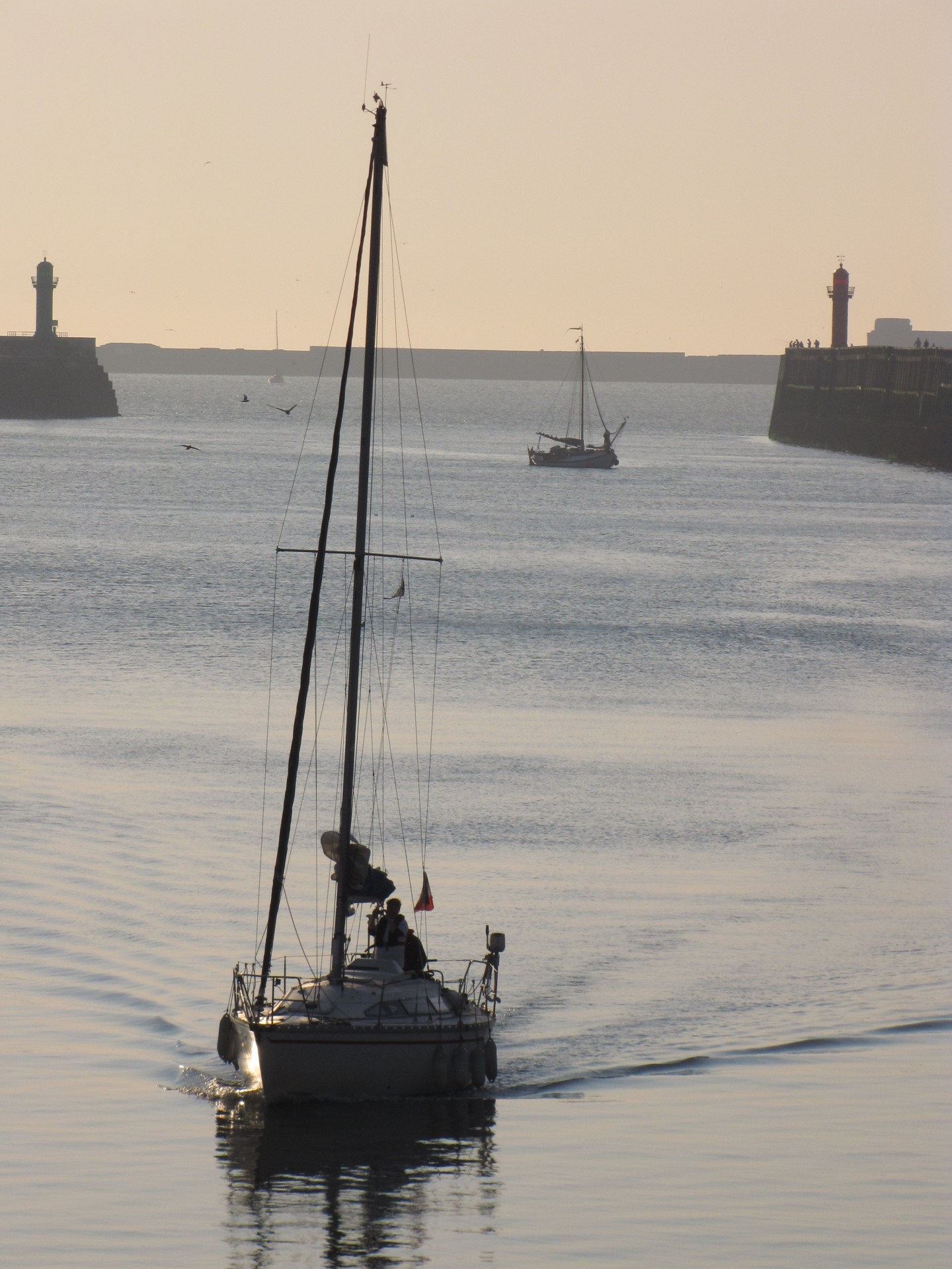 boat sailboat harbor free photo