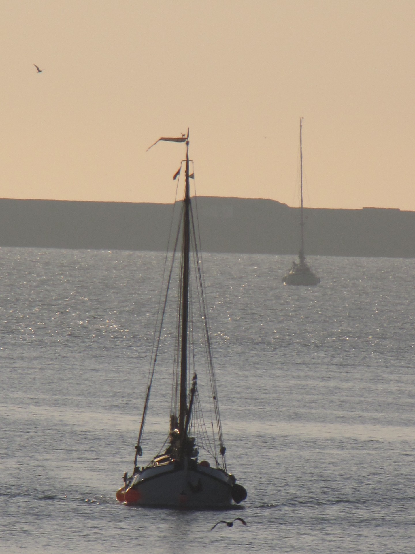 boat sailboat harbor free photo