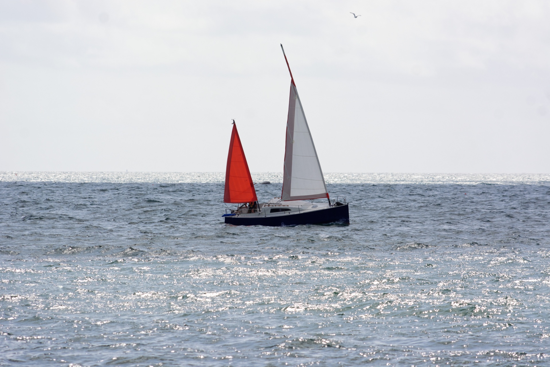 boat sailboat navigation free photo