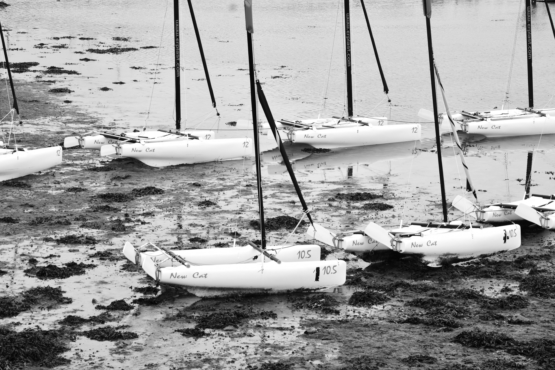 sailboats sailing boat free photo