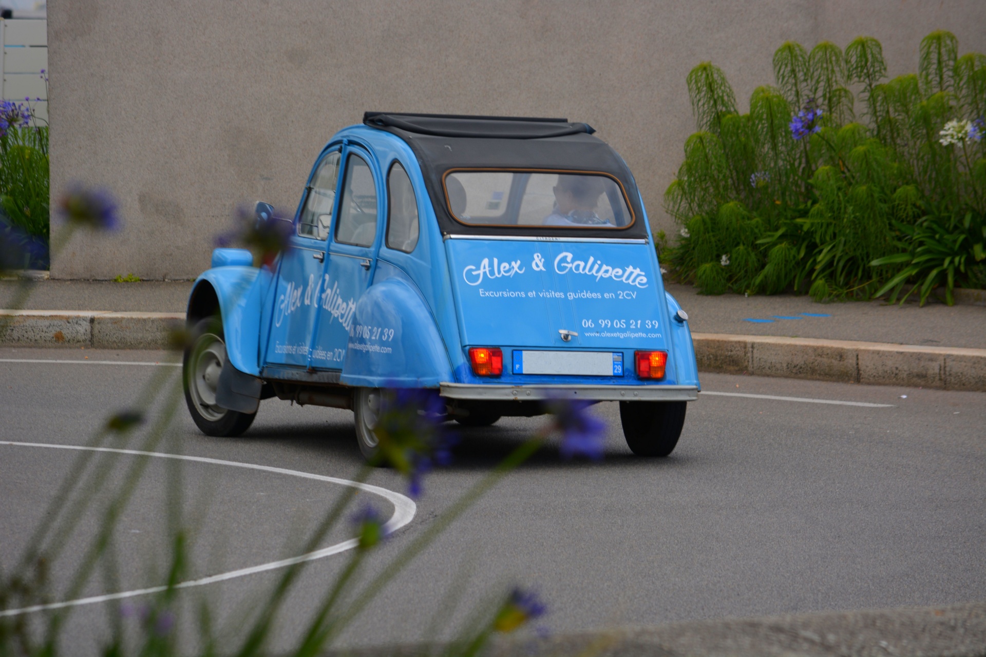 automobile old car vintage car free photo