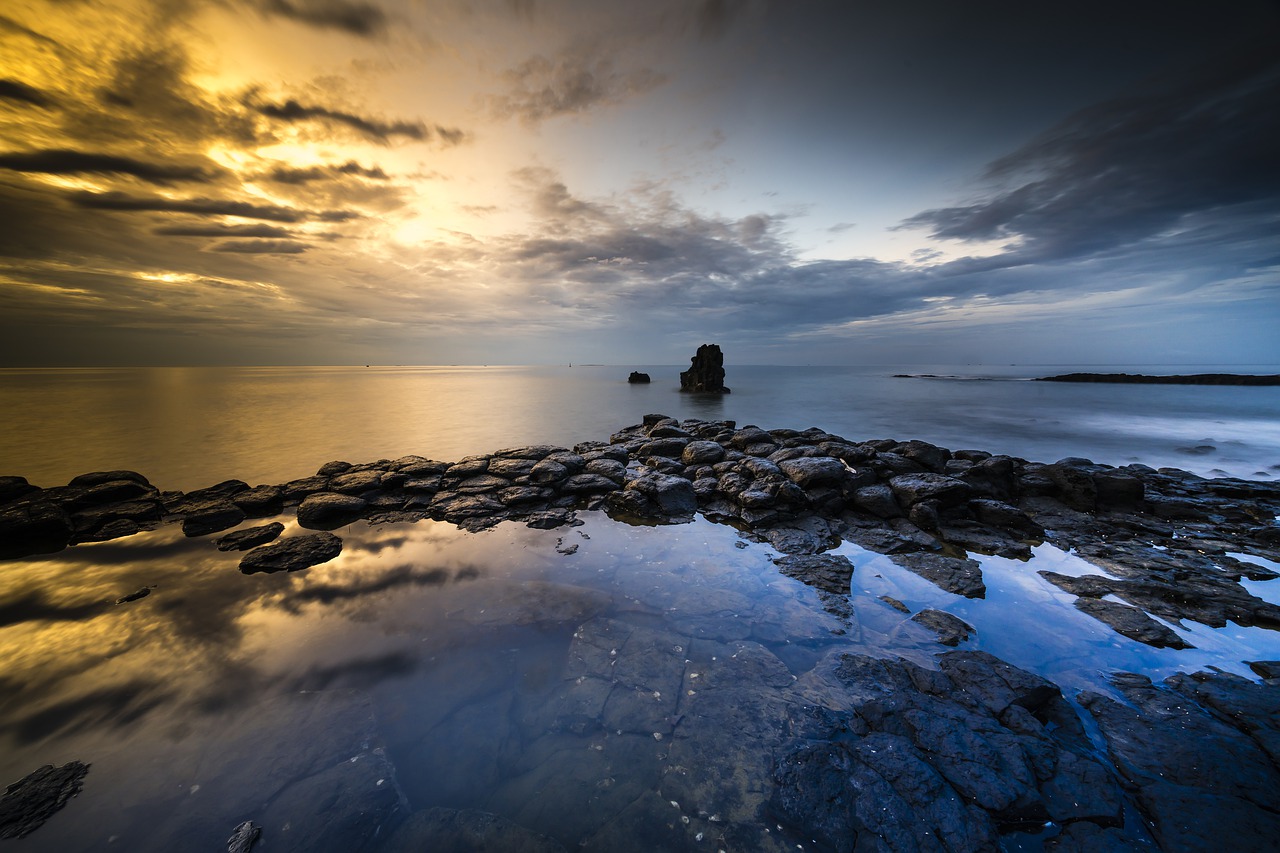 volcanic rock coral adventure free photo