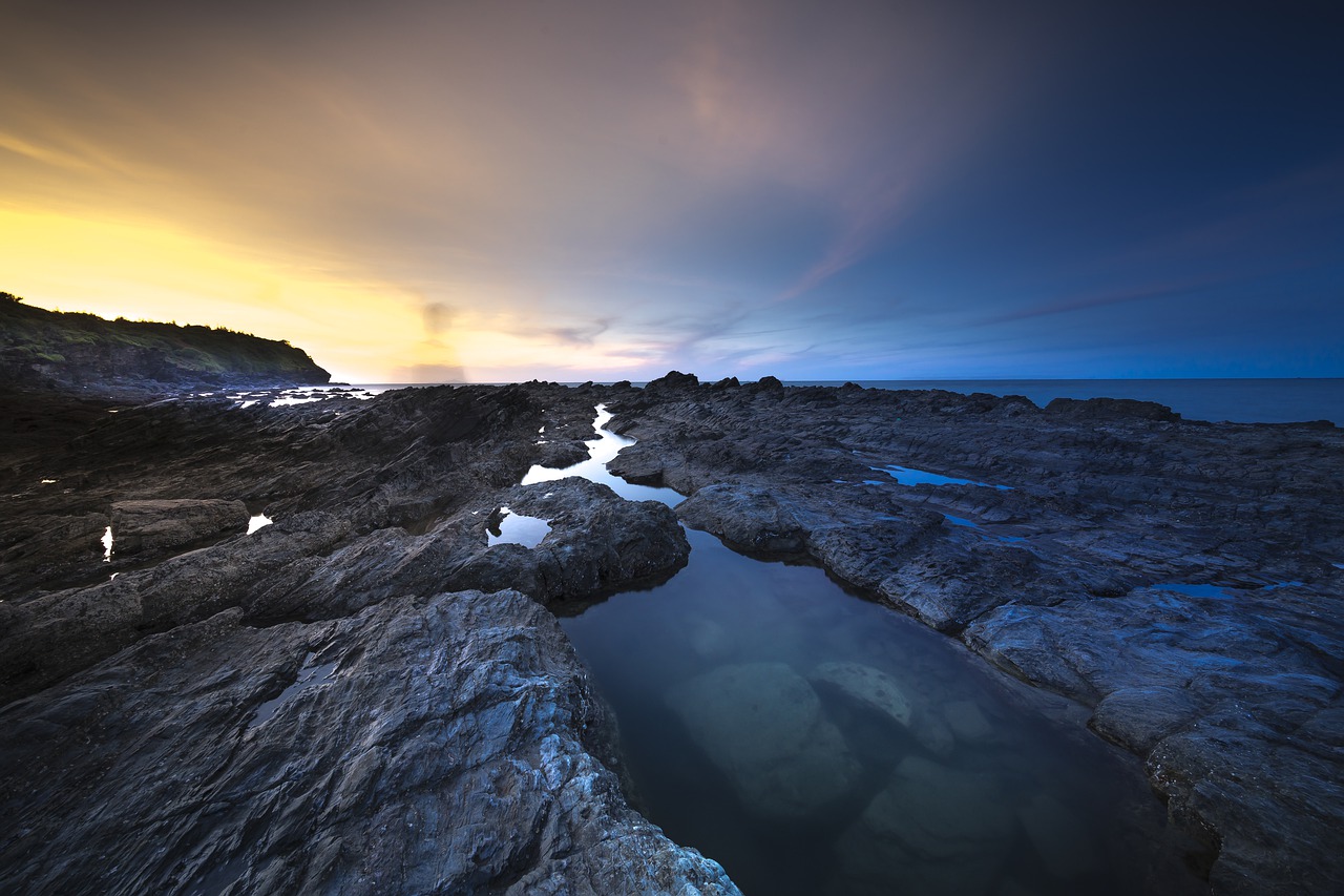 volcanic rock coral adventure free photo