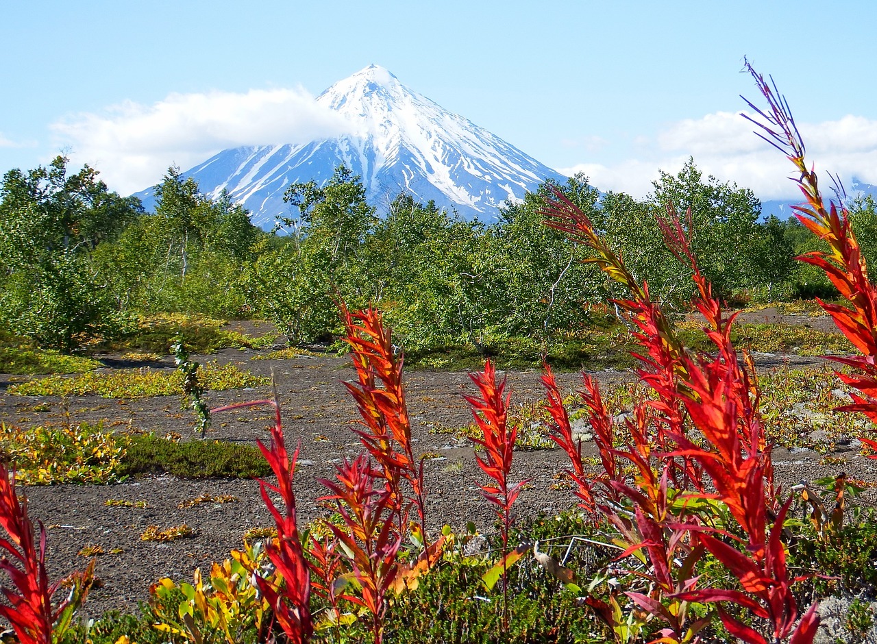 volcano forest autumn free photo