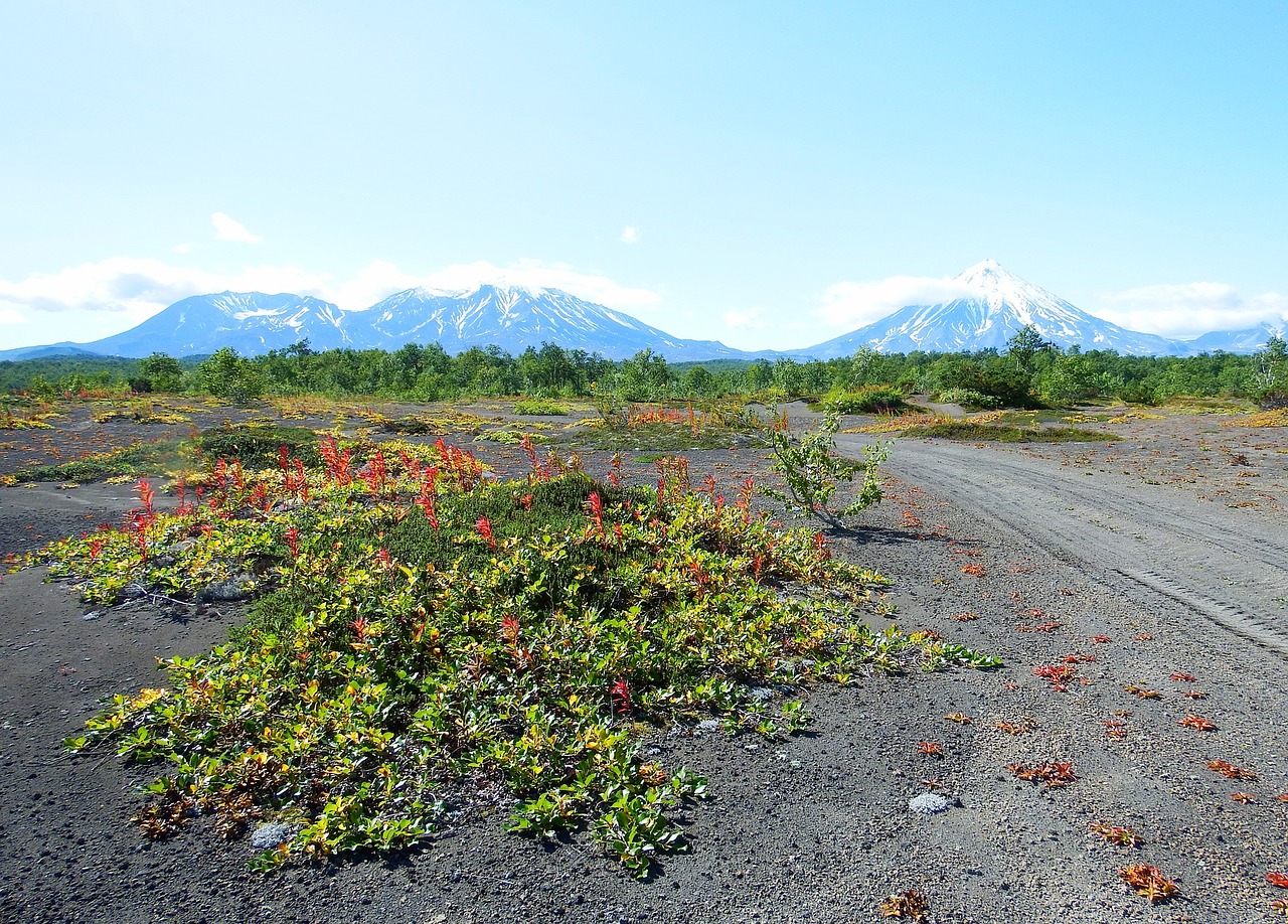 volcano forest autumn free photo