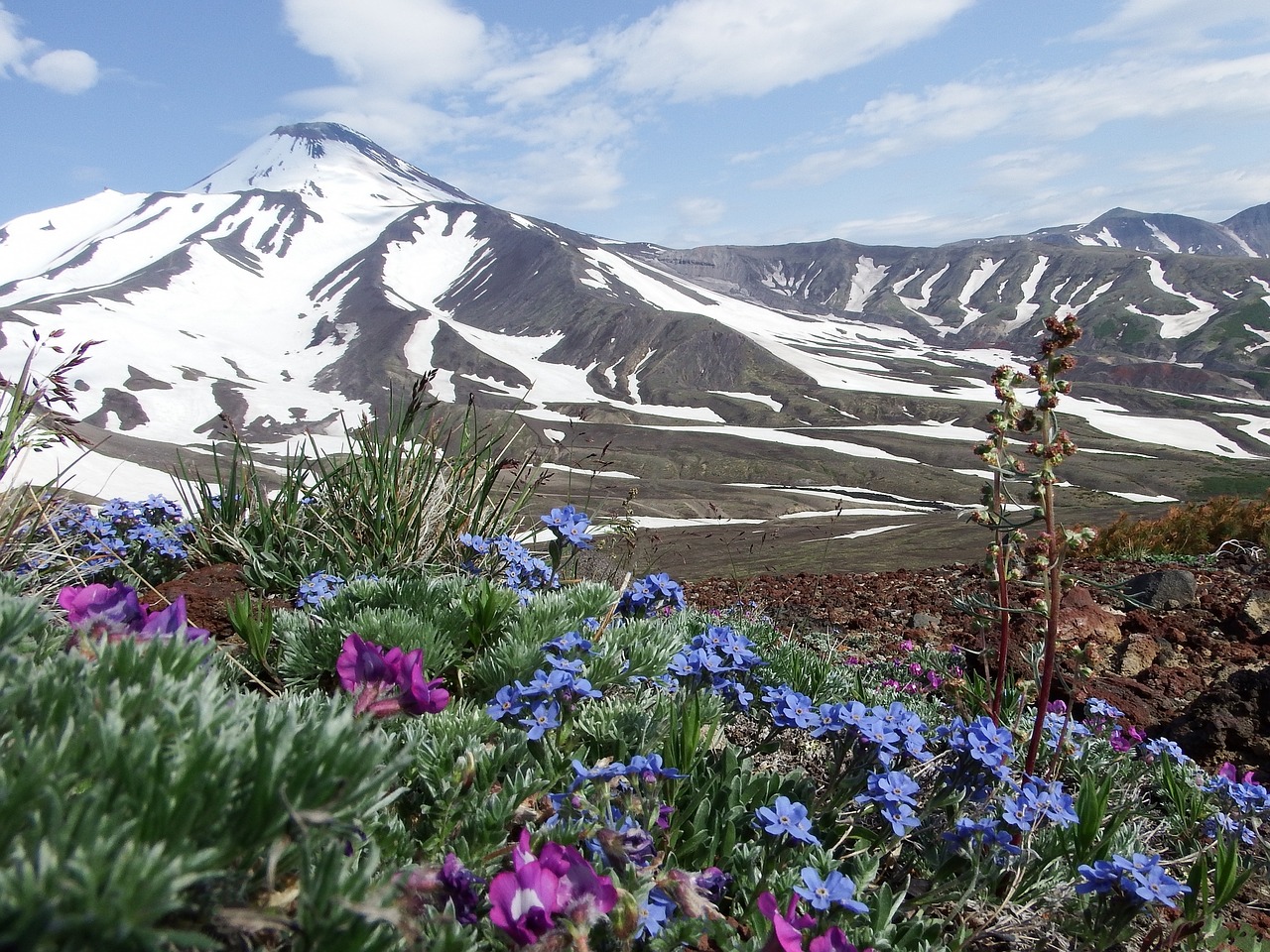 volcano the foot flowers free photo