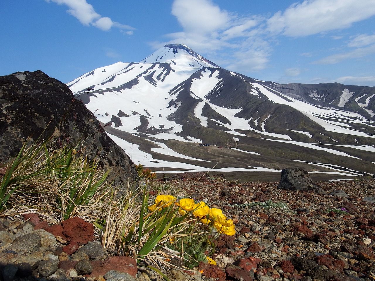 volcano the foot flowers free photo