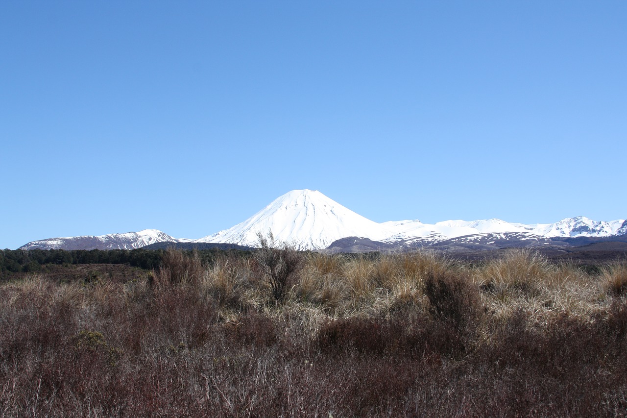 volcano  white  snow-new zealand free photo