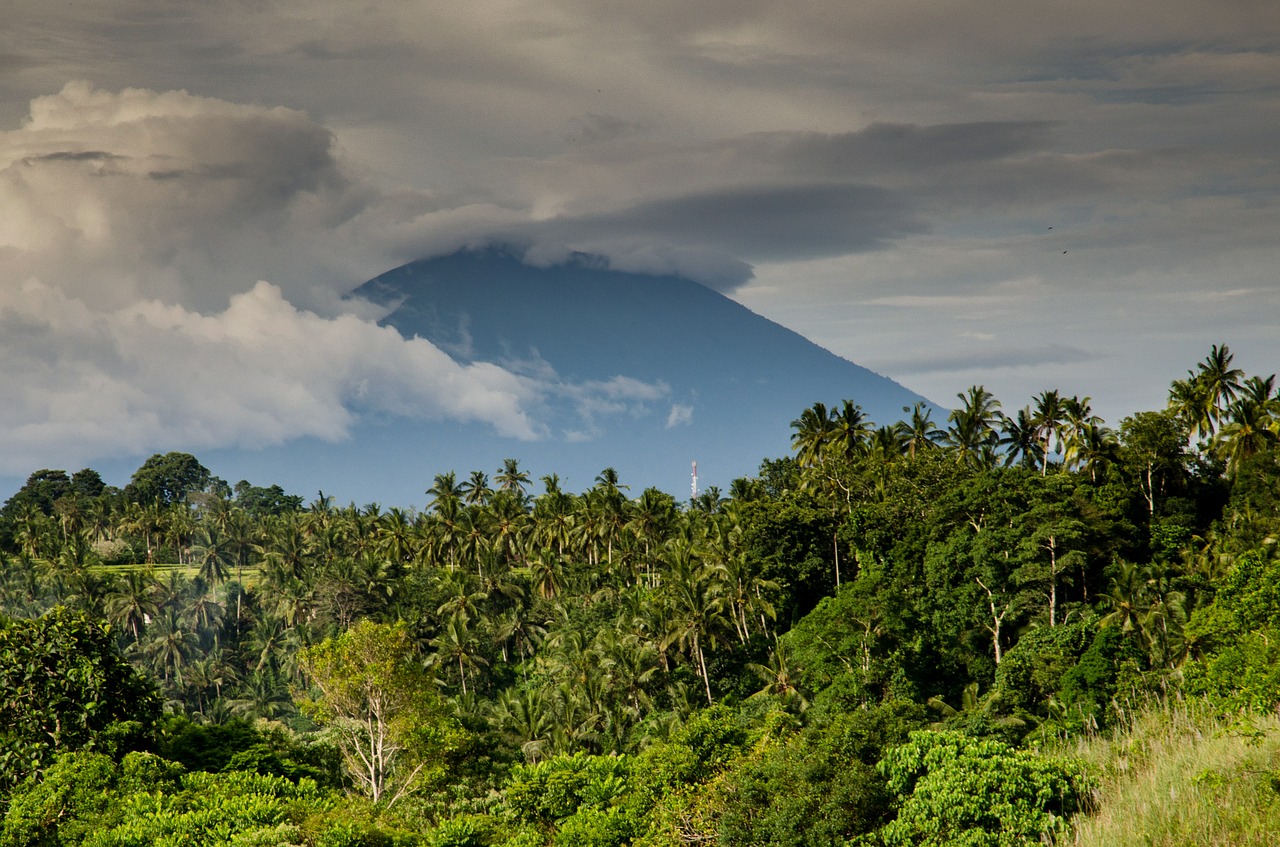 volcano costa rica palm trees free photo