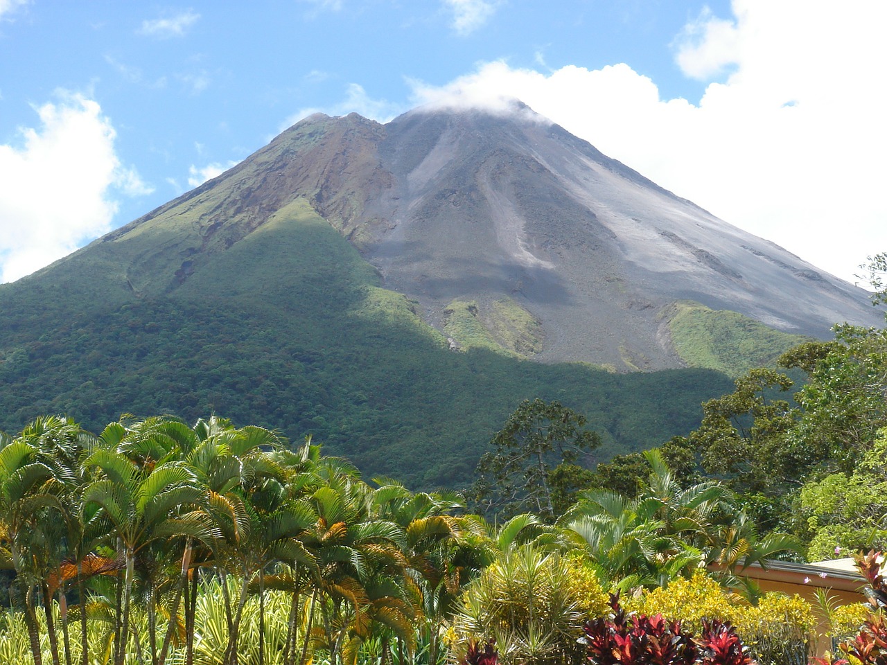 volcano plant landscape free photo