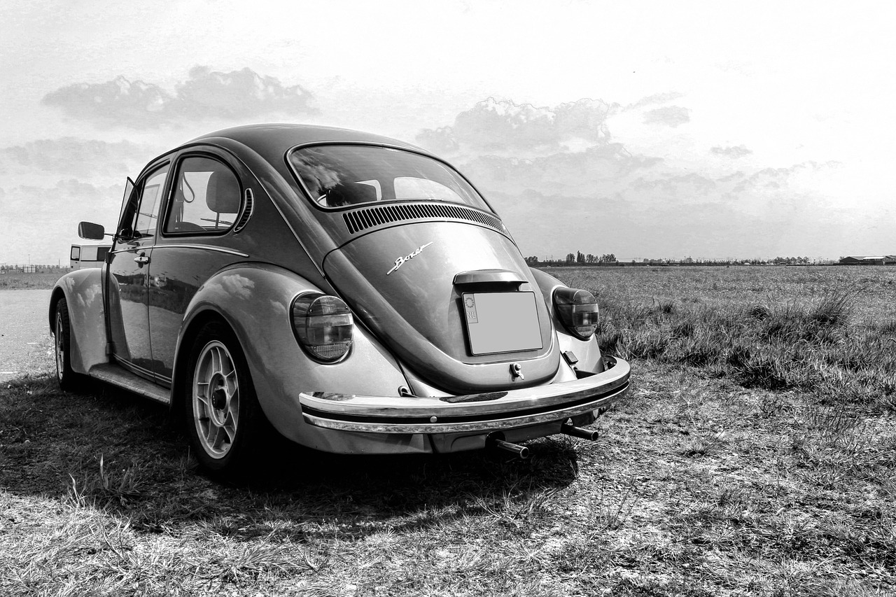 volkswagen beetle bug free photo