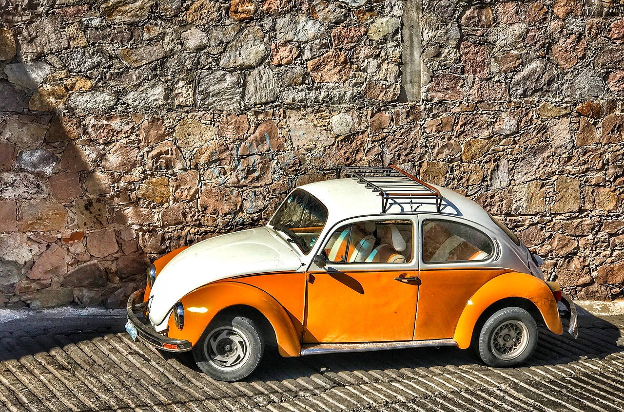 volkswagen bug beetle free photo