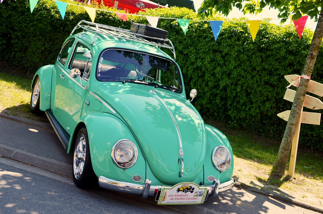 volkswagen beetle  ladybug  car free photo