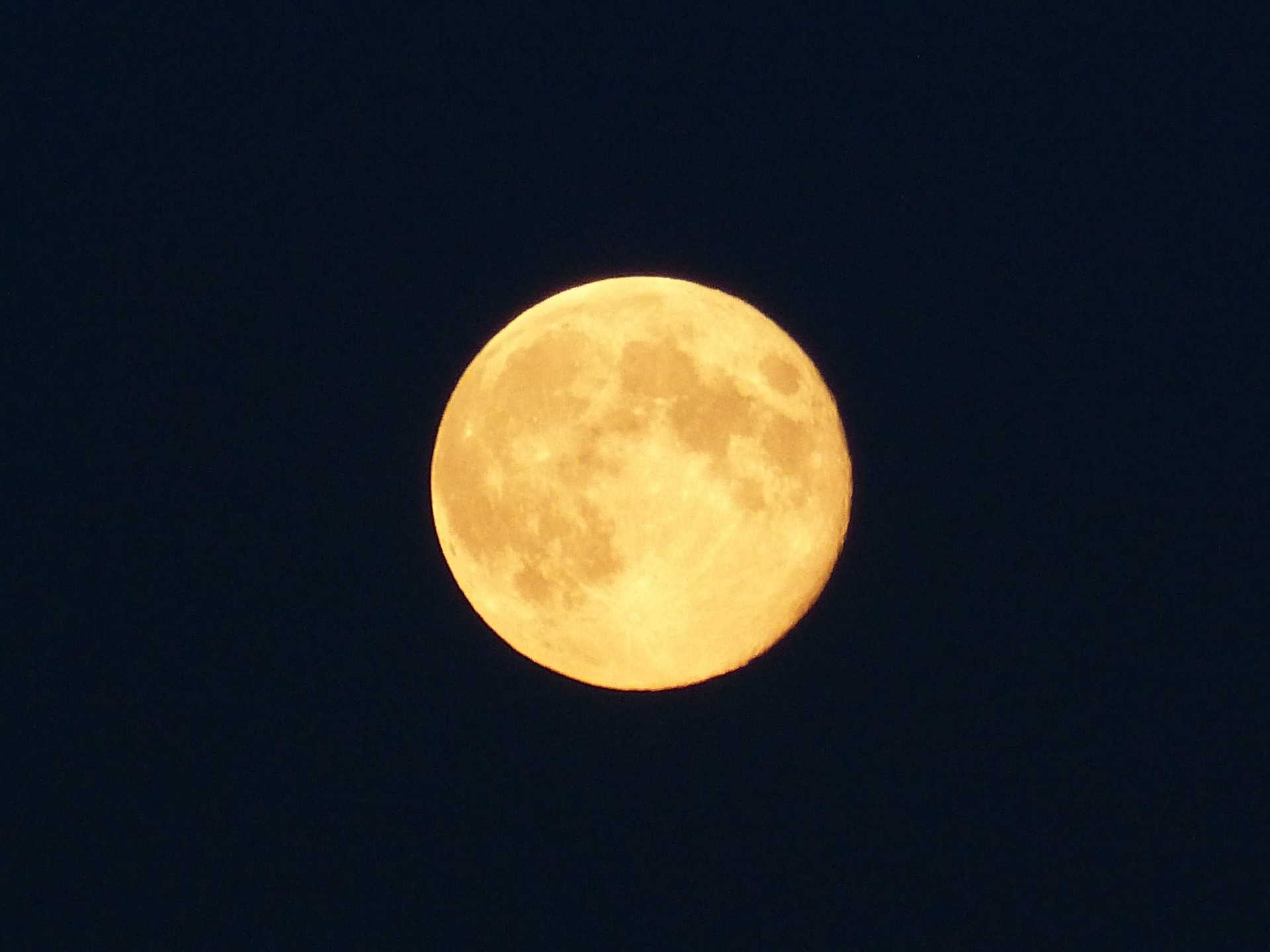 full moon moon yellow free photo