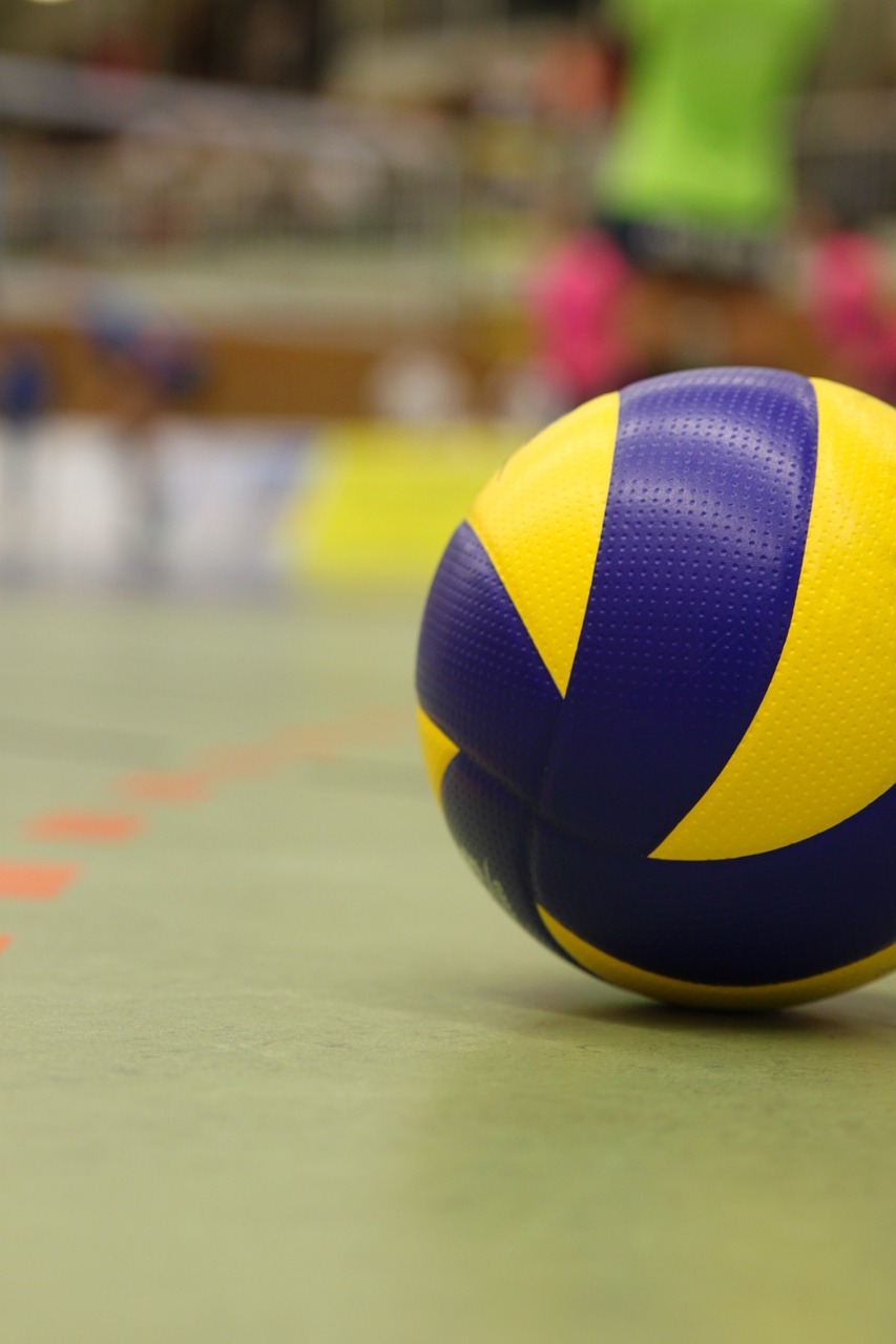 volleyball sport ball free photo