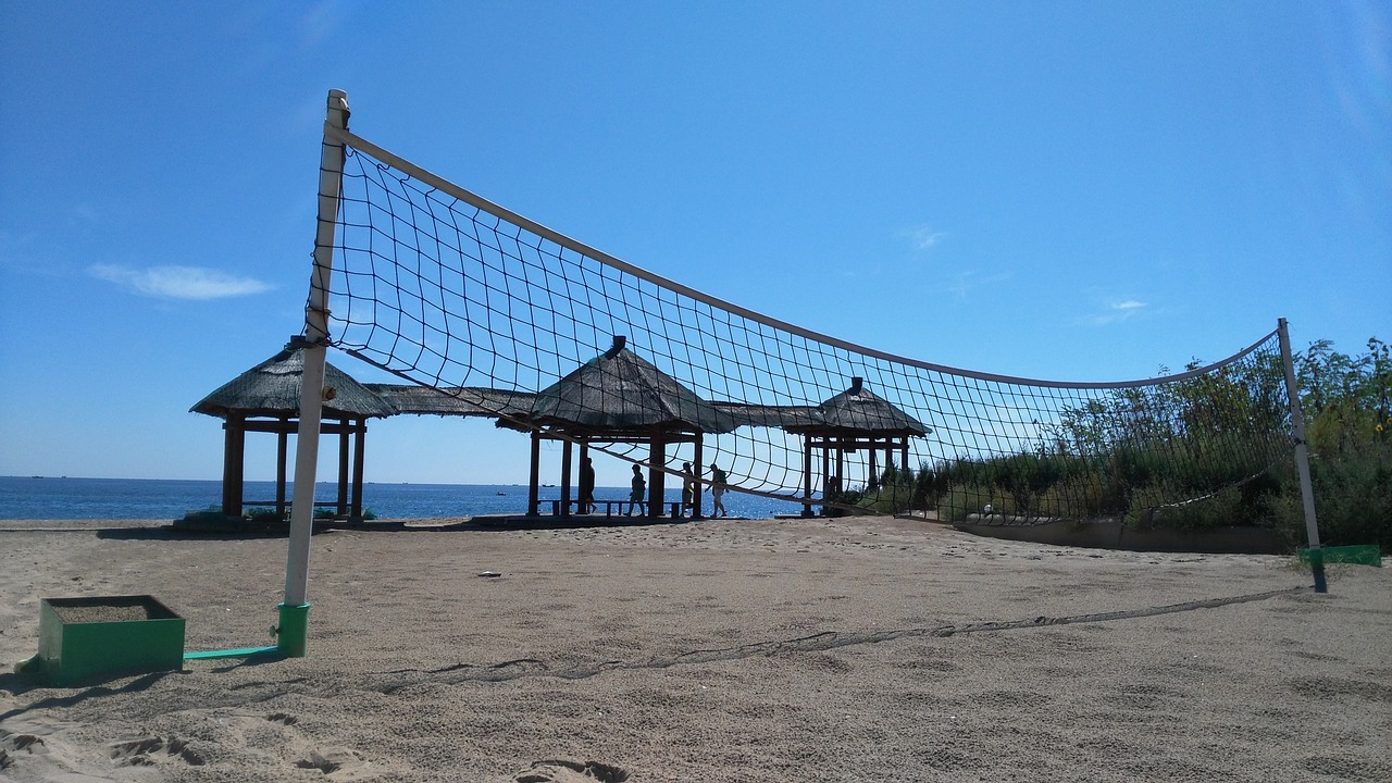 volleyball net idle free photo