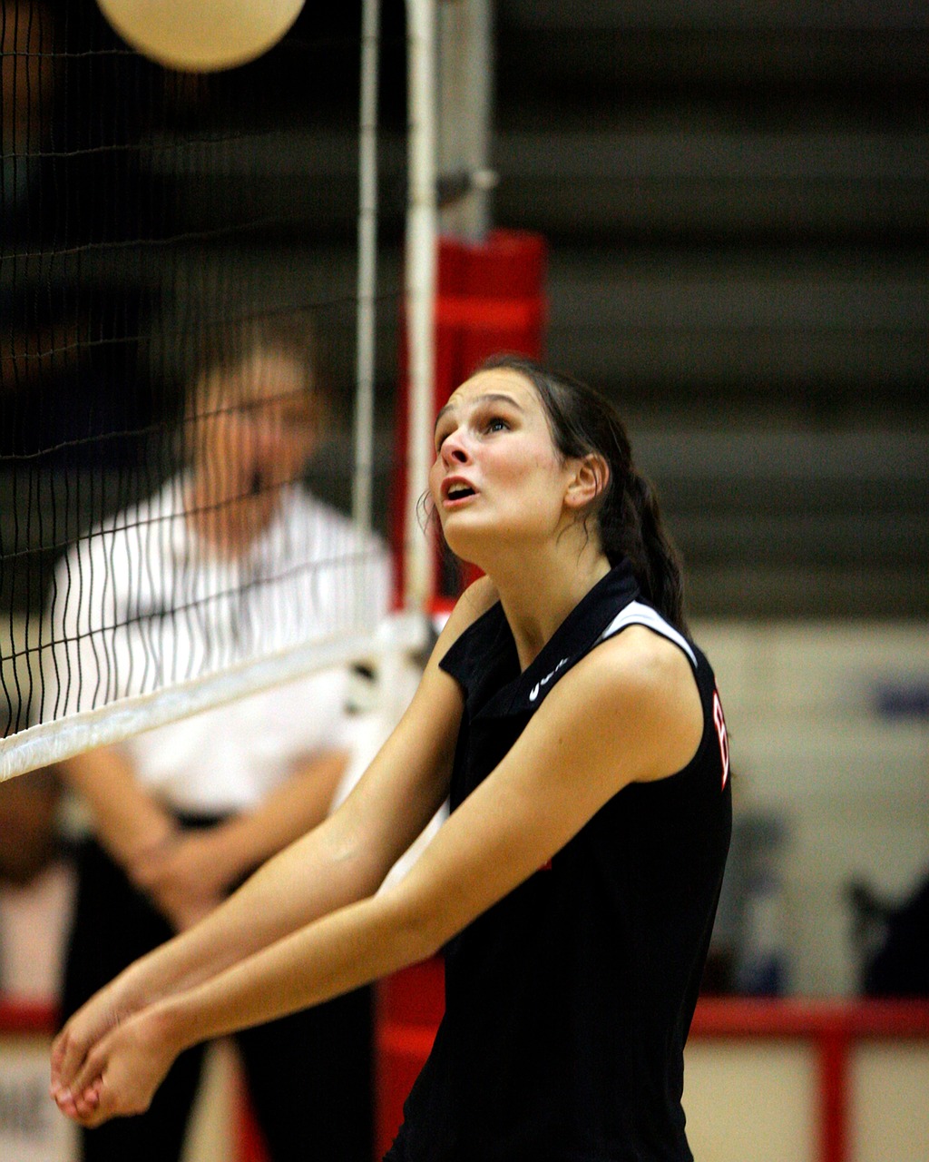 volleyball player volley free photo